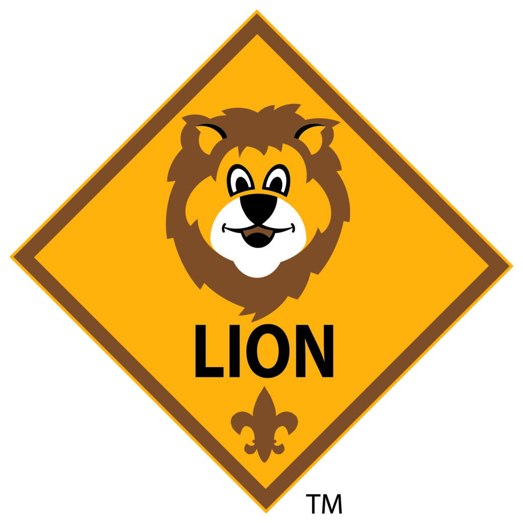 learning-about-lions-scout-spirit