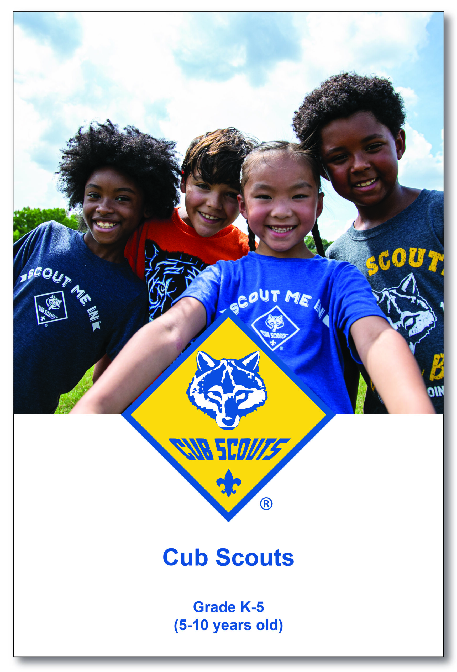 Cub Scout promo